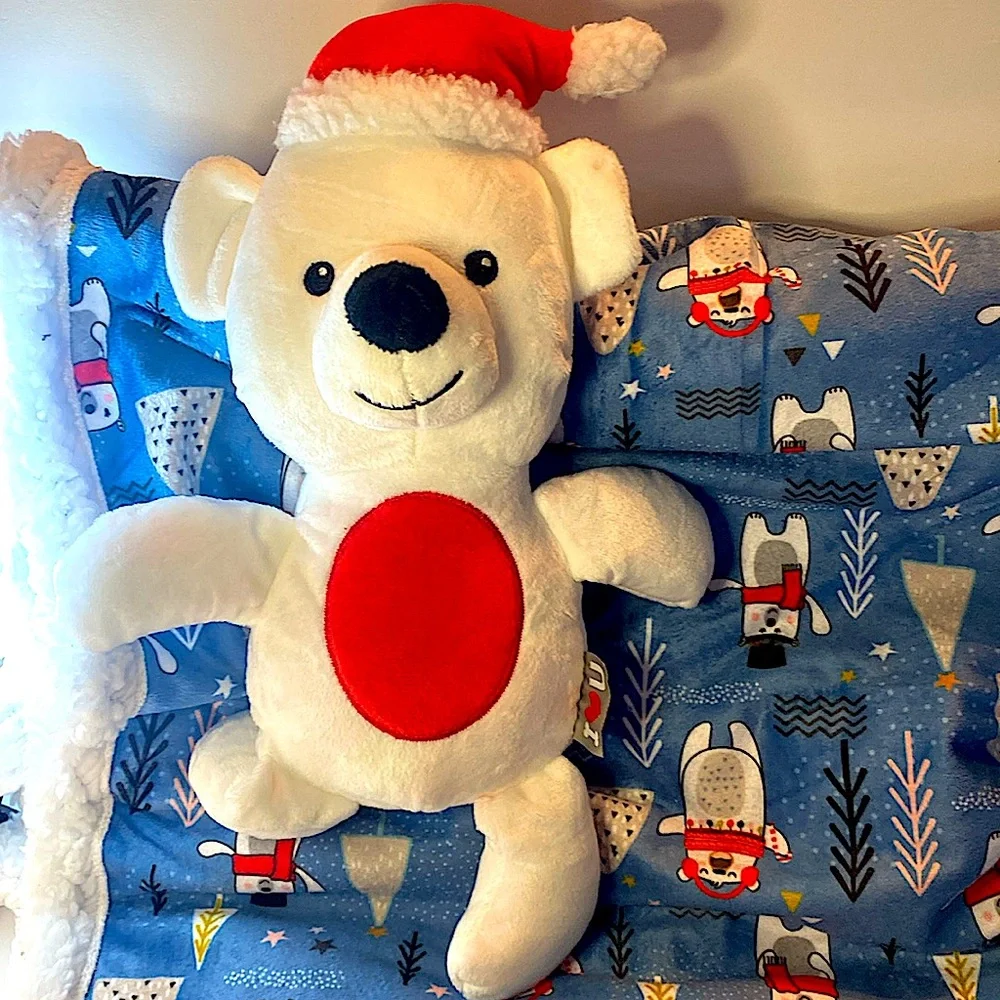 NEW HAPPY HOWLIDAYS PET BLANKET AND TOY